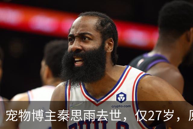 宠物博主秦思雨去世,仅27岁,原因曝光太痛心,疑与流浪猫狗有关