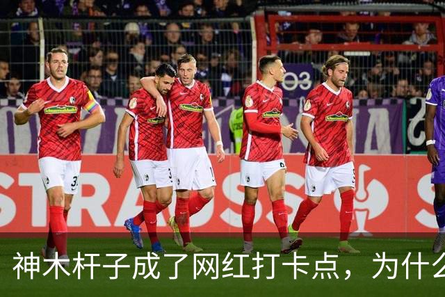 神木杆子成了网红打卡点,为什么要围起来?