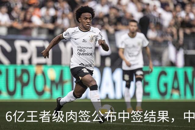 6亿王者级肉签公布中签结果,中签号码14.92万个,股民中到注定吃大肉!